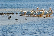 Everglades National Park